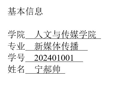 图1-4 示例基本信息文本(一)